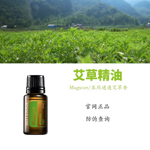 多特瑞艾草精油官网正品