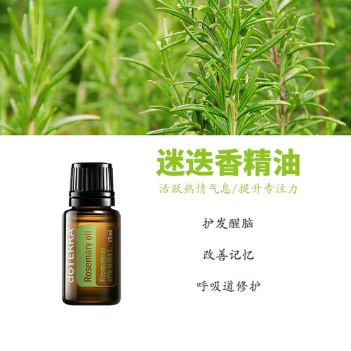 多特瑞迷迭香精油官网正品