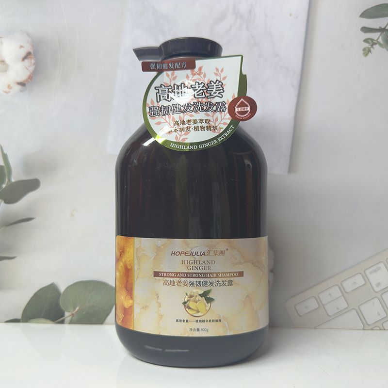 汇集丽高地老姜强韧健发洗发露精油丝滑清爽控油去屑蓬松洗发水
