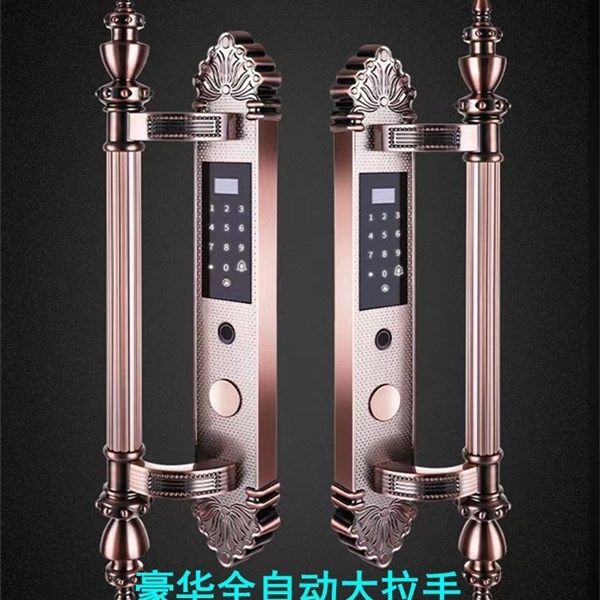 全自动指纹锁家用防盗门