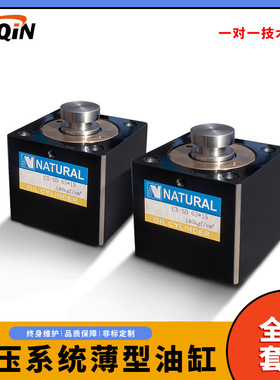 液压系统油缸方形油缸 立式薄型油缸cxsd 非标微型液压油缸