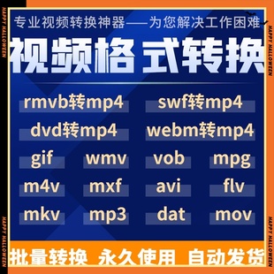 dvd webm vob 转换器软件mov mxf转MP4 m4v gif rmvb 视频格式 swf