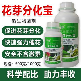 百香花乐生物诱导花芽促控早花不连贯不跳花早花早产早上市