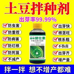 土豆拌种剂马铃薯土豆种子强效催芽壮苗促进生根分叉防病防害专用