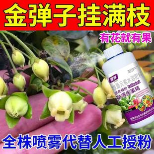 金弹子公花粉授粉座果精坐果灵授粉保花保果药防落果防裂果树挂果