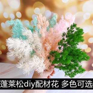 永生花DIY材料蓬莱松干花花束玻璃罩相框礼品纪念保鲜花浮游花配