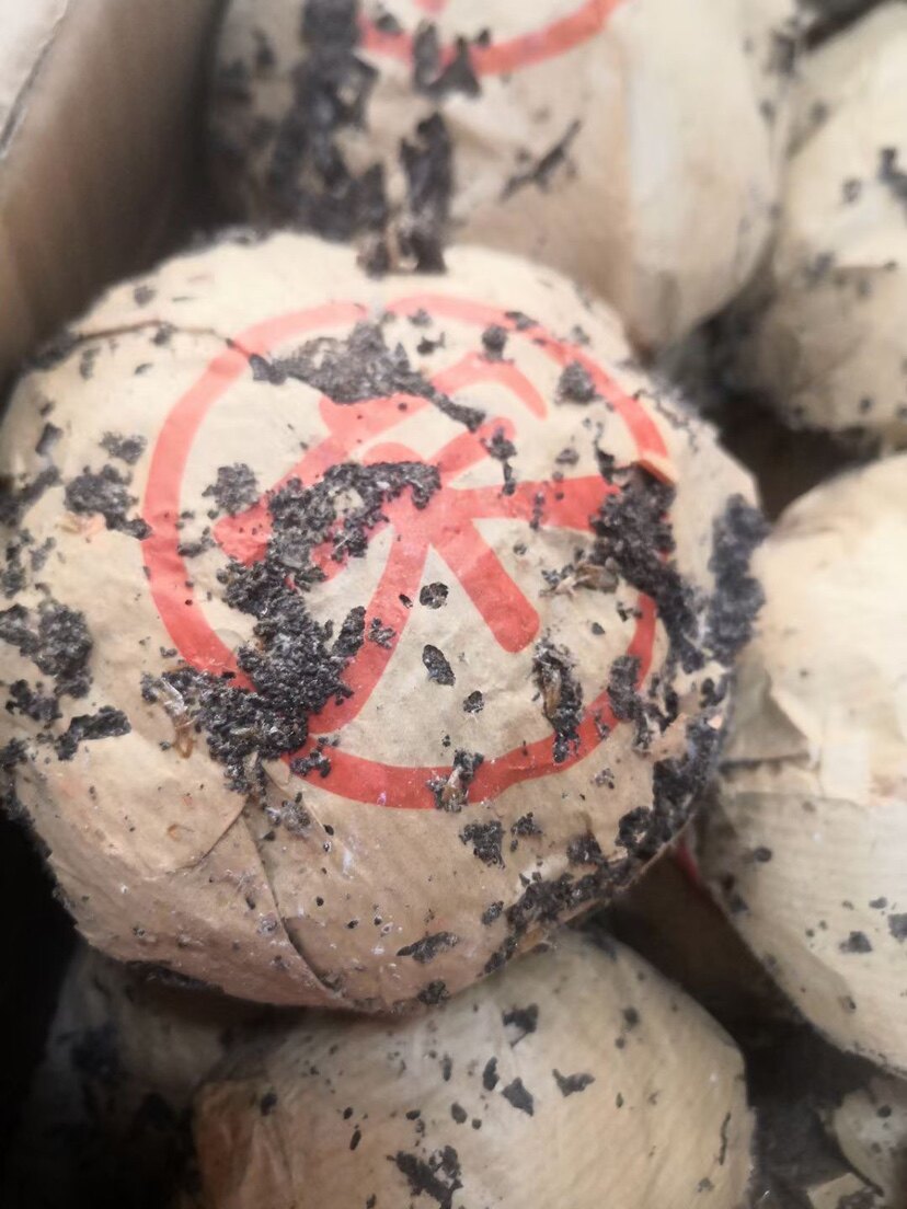 八十年代港仓红宋普洱生沱虫屎沱茶药香老生沱茶250g每个特价40