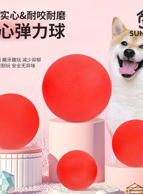 狗狗玩具球耐咬实心球金毛拉布拉多大中小幼型犬磨牙训犬解闷神器