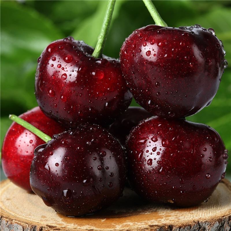 四川汉源车厘子大樱桃黑珍珠国产新鲜孕妇水果当季包邮超级甜送礼|ruв категории водной мясо/свежие фрукты и овощи/еда, свежие фрукты, вишня/вишня - от Buy2taobao.com для оказания профессиональной услуги покупки агента Taobao