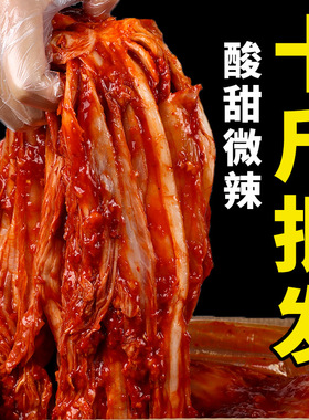 韩国泡菜正宗辣白菜手工10斤免切商用韩式下饭菜酸整箱净重5000g