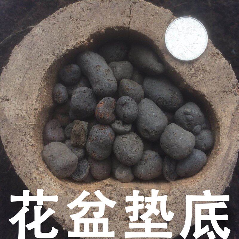 陶土粒花卉种植卫生间垫底小陶粒球花用多肉铺面盆栽回填透气轻质|msdalam kategori penghantaran bunga/bunga simulasi/tumbuhan berkebun, Gardening Supplies, baja rumah berkebun/tanah pemakanan/penyelesaian nutrien - dari Buy2taobao.com untuk memberikan perkhidmatan ejen Taobao profesional membeli