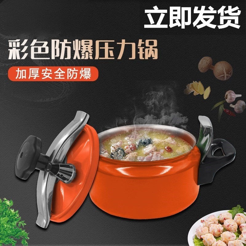 德国精工防爆迷你高压锅家用燃气 酒店小型压力锅电磁炉通用小1人
