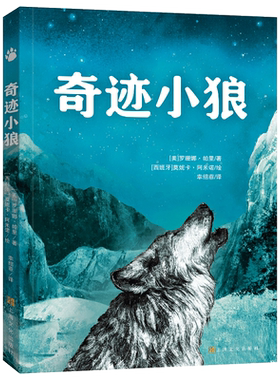 英国水石儿童图书奖提名
