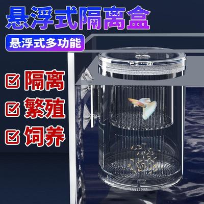 隔离盒孔雀鱼繁殖盒鱼缸亚克力