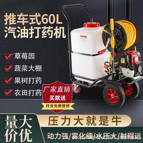 汽油打药机手推式电动打药机消毒养殖场专用农用高压四冲程喷雾器