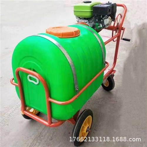 160升手推式汽油打药机户外消毒喷雾器机动式消杀喷雾机外贸出口,农机/农具/农膜,植保机械,淘宝优惠券,粉丝福利购,淘宝优惠卷