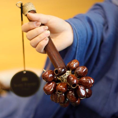 德国Meinl果壳手摇铃天然种子壳音束铃棒手铃进口小众伴奏乐器