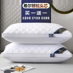 Pillow Healthy pillows feather velvet hotel pillow for bed