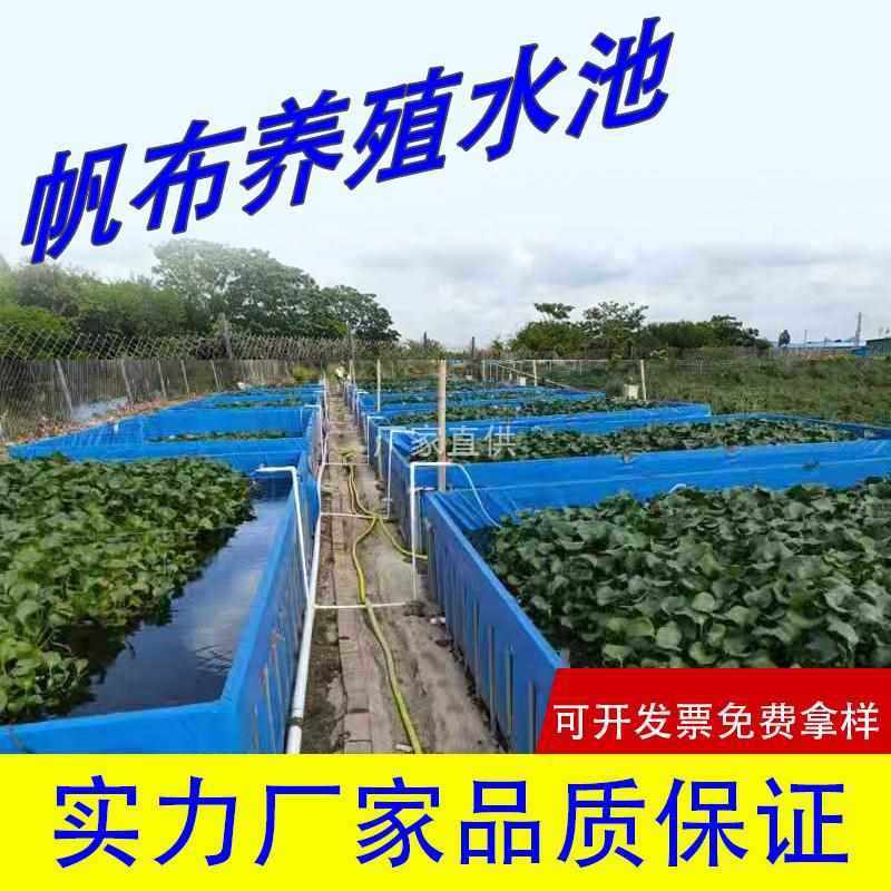 户外帆布鱼池加厚防水布养鱼池大型塑料游泳池养殖水箱刀刮布水池,居家日用,防雨布,淘宝优惠券,粉丝福利购,淘宝优惠卷