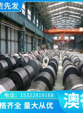 QAL9-4铝青铜QAL10-4-4铜棒C86300铜板 CuAl8Fe3铜排C86300铜合金