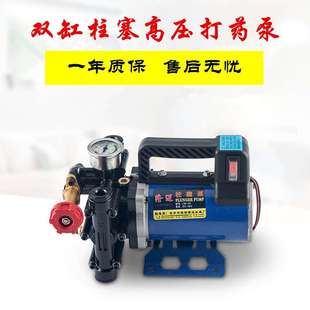 手提式 打药机农用电动果树喷雾器12V48V60V220伏高压双缸柱塞药泵
