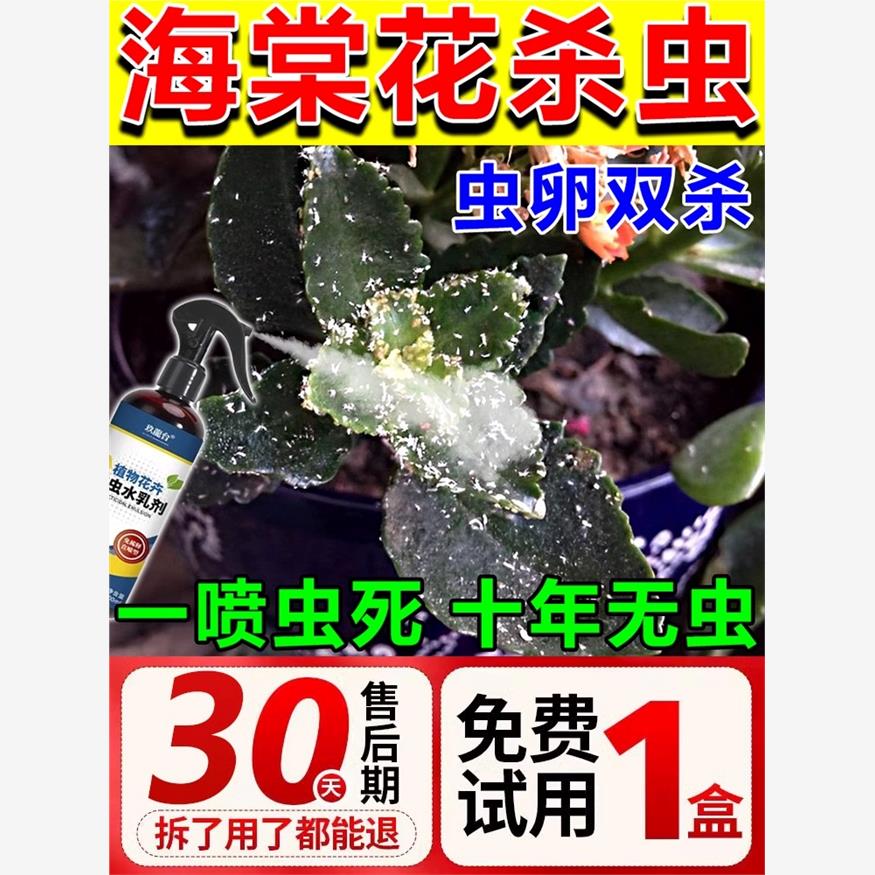 海棠花杀虫剂花卉植物灭蚧壳虫蚜虫专用治花药除虫水乳剂盆栽通用