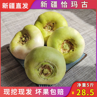 恰玛古新疆柯坪县新鲜蔬菜恰玛古强碱性食品调节酸碱平衡5斤包邮