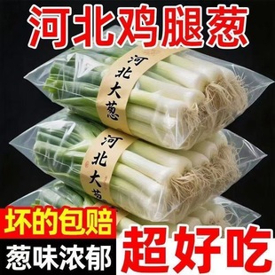 【新鲜直发】新鲜大葱笨葱鸡腿葱河北特产冬储鸡腿葱生吃炒菜蘸酱