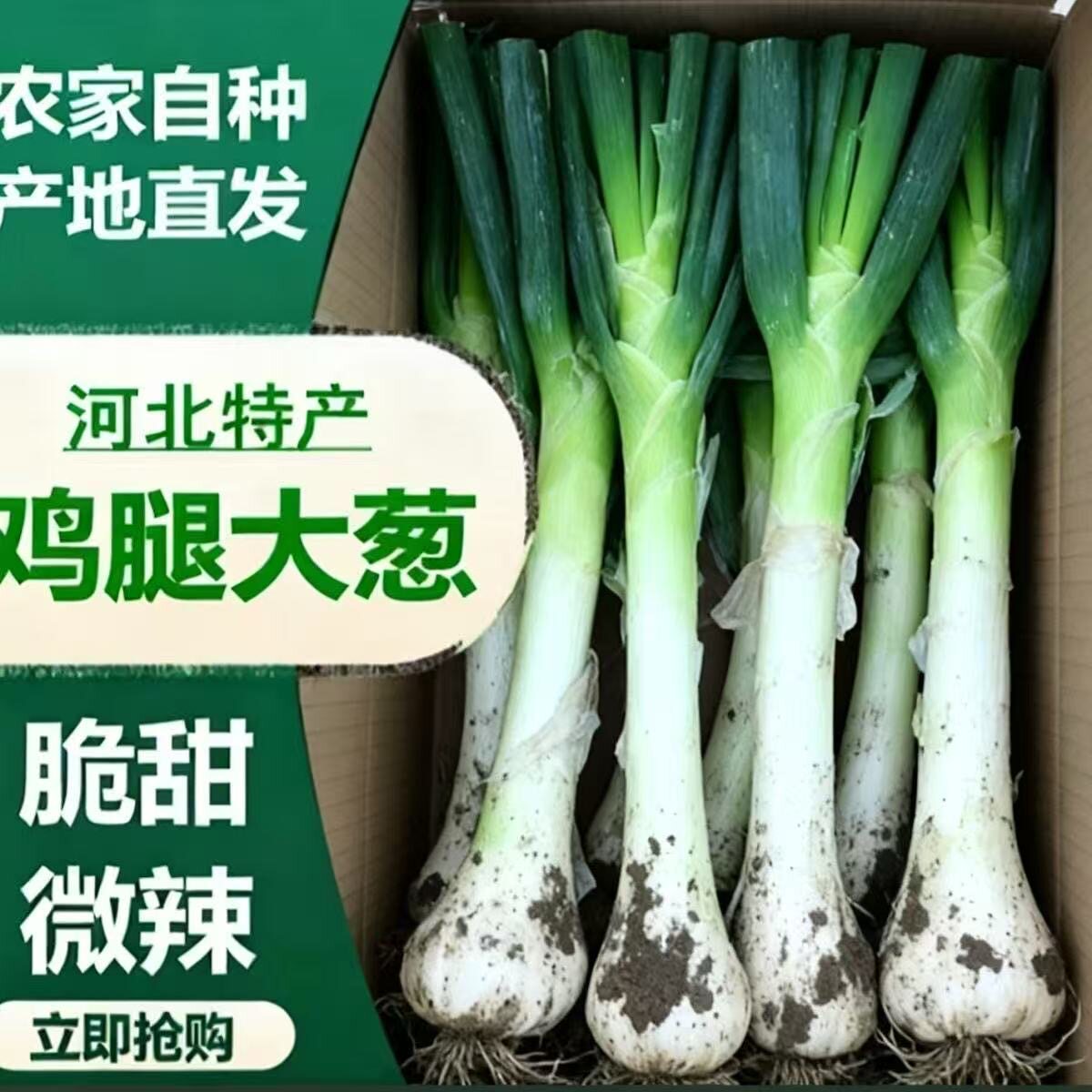 新鲜大葱鸡腿葱香辣甜葱生吃蘸酱