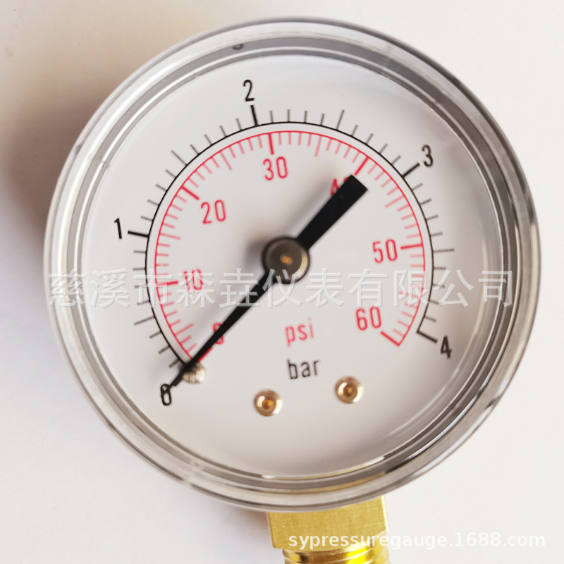 黑铁壳压力表 0-4BAR 0-60PSI 美标NPT螺纹