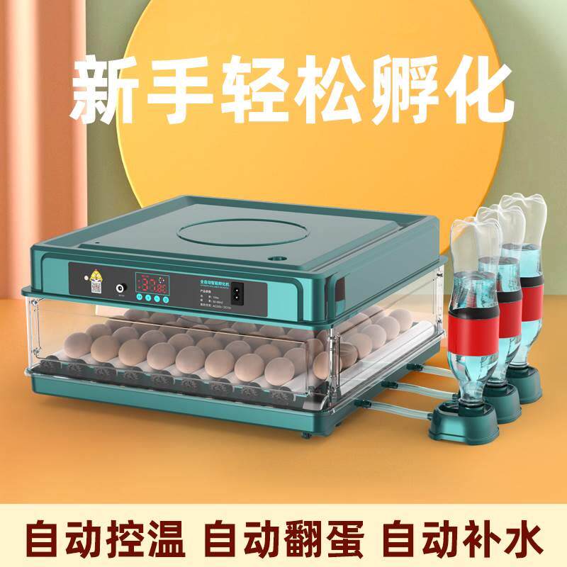 蛋孵化器小型家用玄凤鹦鹉受精蛋专用家用全自动机小鸡孵蛋器箱鸡