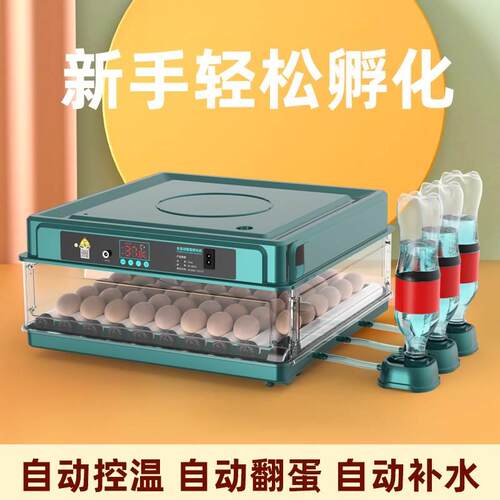 蛋孵化器小型家用玄凤鹦鹉受精蛋专用家用全自动机小鸡孵蛋器箱鸡