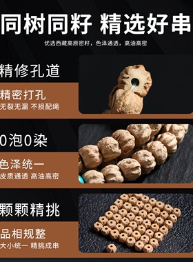 2026热振百香籽108颗深坑鬼脸手串原籽项链手串文玩佛珠念珠多圈