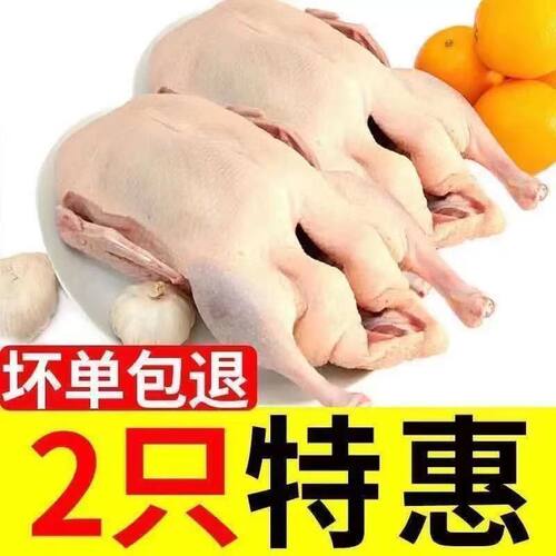 【现杀现发】正宗农村散养土鸭肉类老鸭麻鸭肉鸭新鲜鸭子鸭腿自养
