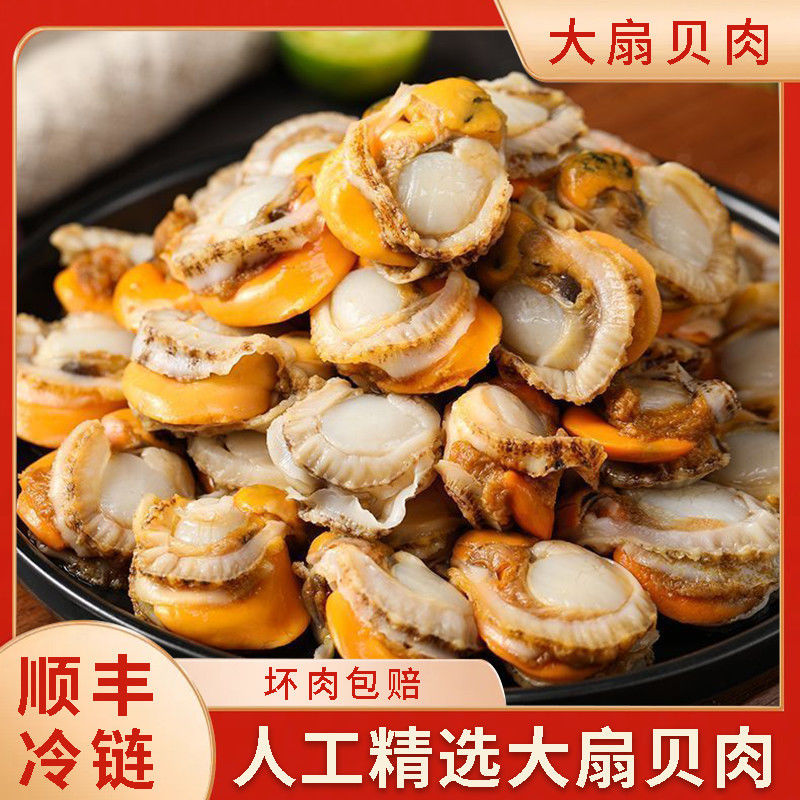 【顺丰包邮】大号野生扇贝肉高品质精选新鲜现剥水产海鲜整箱发货