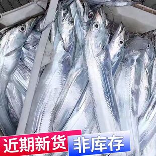 【活动中】特大带鱼整条带鱼新鲜整箱小眼带鱼冷冻刀鱼非带鱼段
