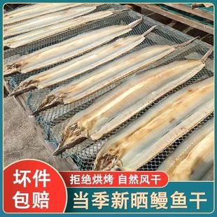 特大野生鳗鱼干批发海鳗鱼干深海鱼5成干渔民自晒咸鱼干海鲜干货