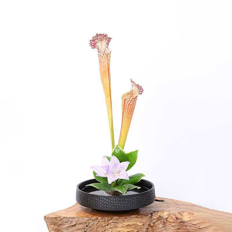 黑色锤纹陶瓷花盘花器禅意茶席中式日式插花器皿剑山插花器,家居饰品,仿真植物盆景,淘宝优惠券,粉丝福利购,淘宝优惠卷