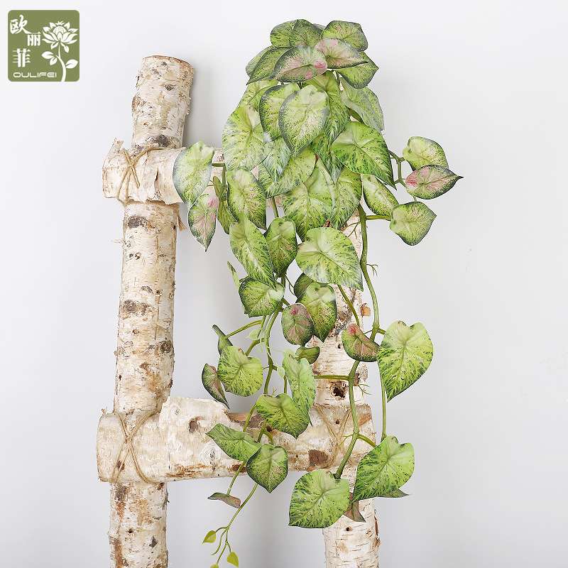 欧丽菲仿真绿植壁挂 仿真芋叶龟背挂悬挂 人造植物藤蔓装饰叶子