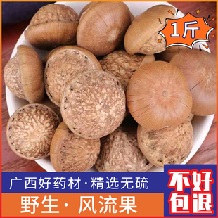 广西野生风流果双肾子大果天竺粒500g配阴阳子双肾子泡酒材料