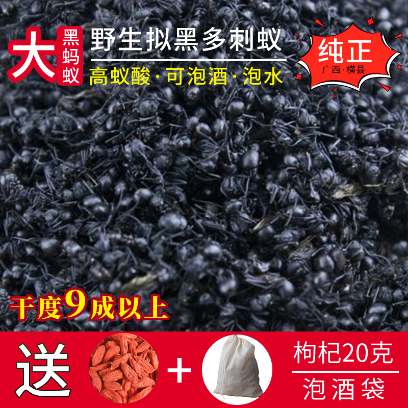 广西大黑蚂蚁干正品野生拟黑多刺蚁黑蚂蚁养生食用泡酒料500g散装