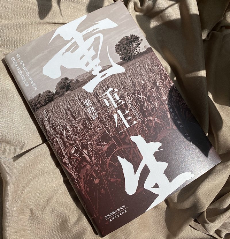 现货】重生 梁晓声 重磅巨制抗战小说 一个弱者的反抗 战争时代的悲歌 生存救赎毁灭新生 小人物的蜕变 长篇现代 人世间作者梁晓声