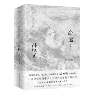 现货】命运:全二册 国家图书奖、飞天奖、金鹰奖得主陆天明经典作品 官场反腐小说