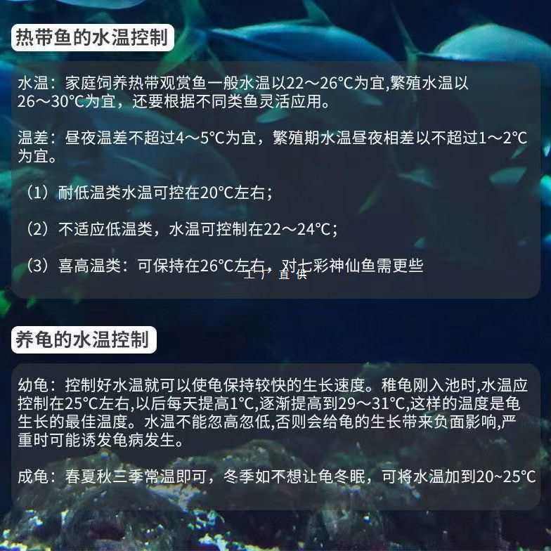 数字温度计变色温度贴水族箱温度计龟缸鱼缸温度贴温度计外贴,宠物/宠物食品及用品,水温计,淘宝优惠券,粉丝福利购,淘宝优惠卷