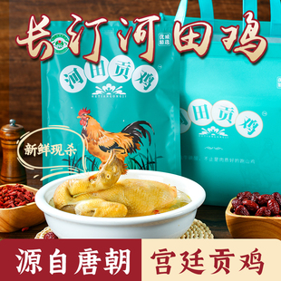 福建长汀河田鸡白斩阉公鸡正宗农家飞鸡土鸡坐月子滋补放养小母鸡