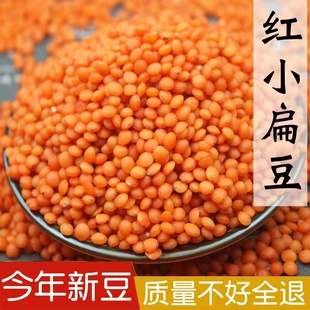 红小扁豆新货农家新鲜番茄红扁豆小扁豆马粟豆五谷杂粮煮粥500g