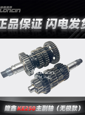 隆鑫KE250无极250RR恒舰S5 LX250GS发动机齿轮拨叉主副轴全车垫