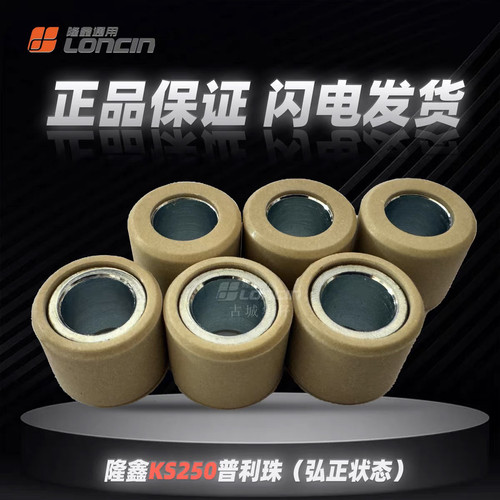 隆鑫KS250无极SR250GT天鹰TX250飞戈250max普利珠原厂正品