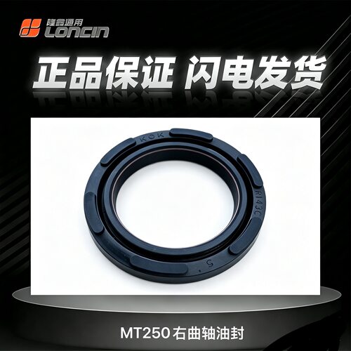 恒舰MT250曲轴左右油封副轴油封