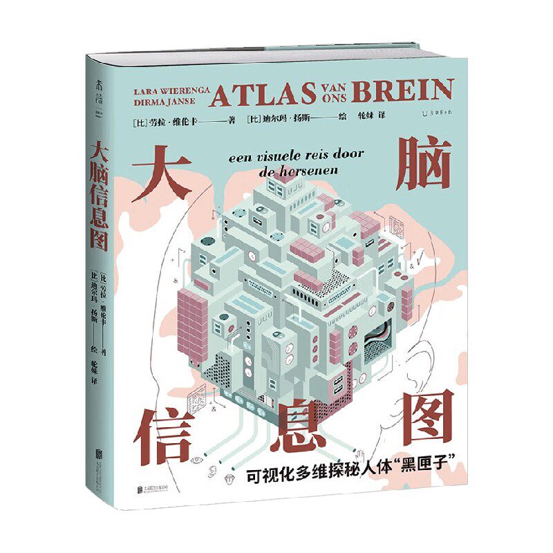 大脑信息图劳拉·维伦卡